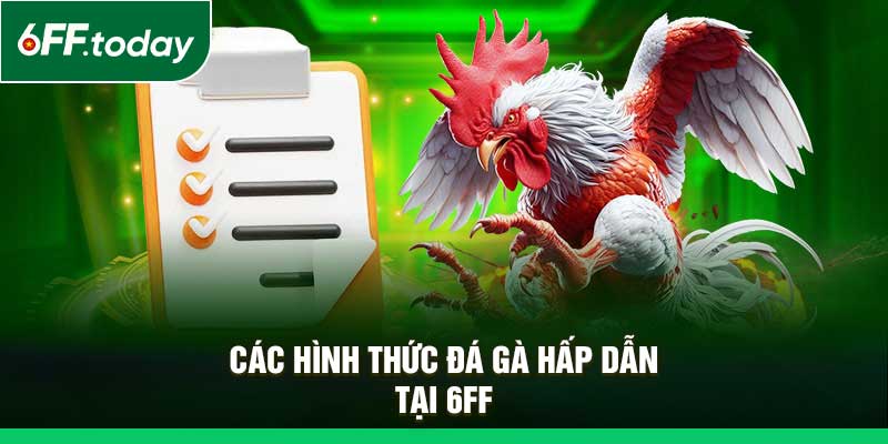 Đá Gà 6FF – Hồi Hộp, Nảy Lửa, Sôi Động Như Trận Đấu Thật - JOZAGE.PRO