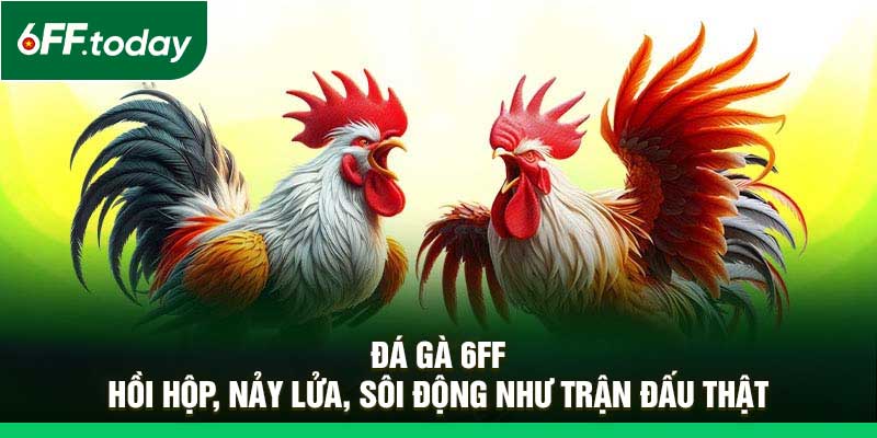 Đá Gà 6FF – Hồi Hộp, Nảy Lửa, Sôi Động Như Trận Đấu Thật - JOZAGE.PRO