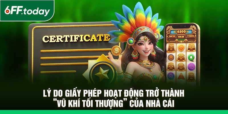 Giấy Phép Hoạt Động 6FF – Minh Chứng Cho Uy Tín Quốc Tế - JOZAGE.PRO
