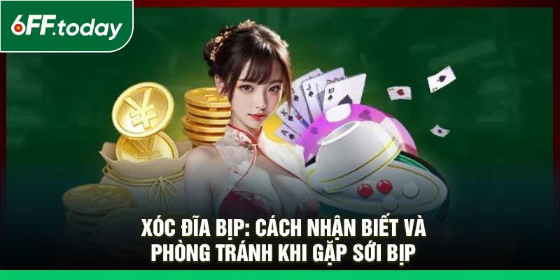 Xóc Đĩa Bịp: Cách Nhận Biết Và Phòng Tránh Khi Gặp Sới Bịp - JOZAGE.PRO